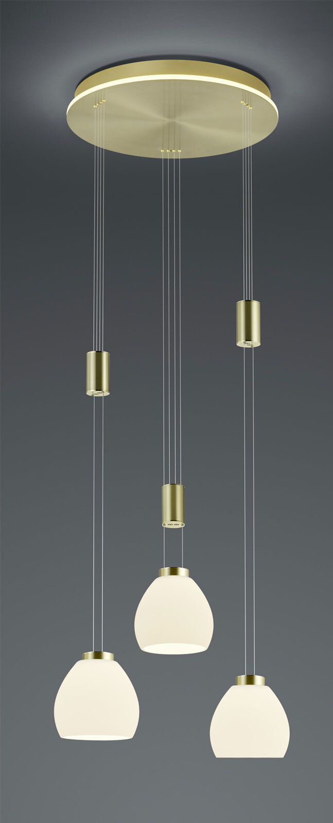 HELL LED Pendellampe SAM 43 cm messingfarbig