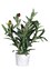 Kunstblume Mini Olivenbaum 28 cm